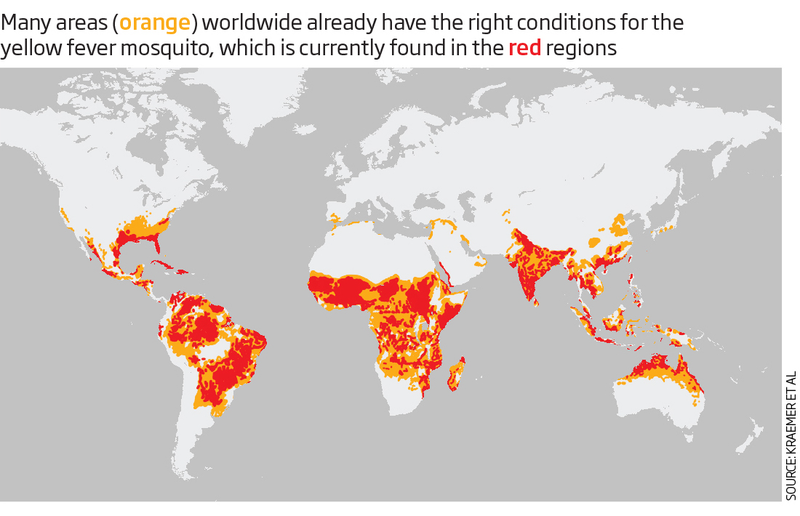 Illustration for article titled Los países donde los mosquitos causan más enfermedades